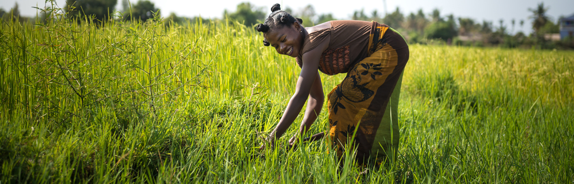 header-agriculture